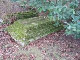 image of grave number 197929